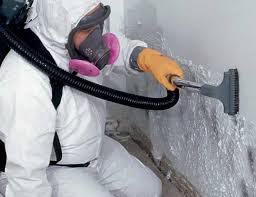 Best Environmental Consulting for Mold Prevention  in Benjamin, UT